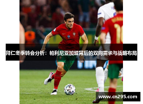 拜仁冬季转会分析：帕利尼亚加盟背后的双向需求与战略布局