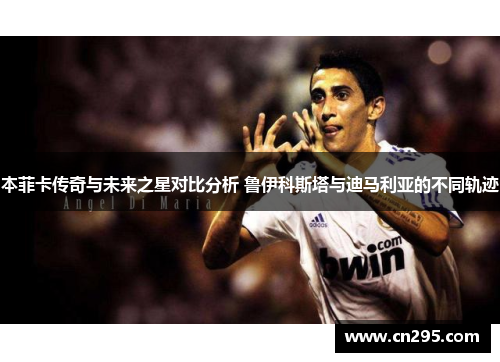 本菲卡传奇与未来之星对比分析 鲁伊科斯塔与迪马利亚的不同轨迹